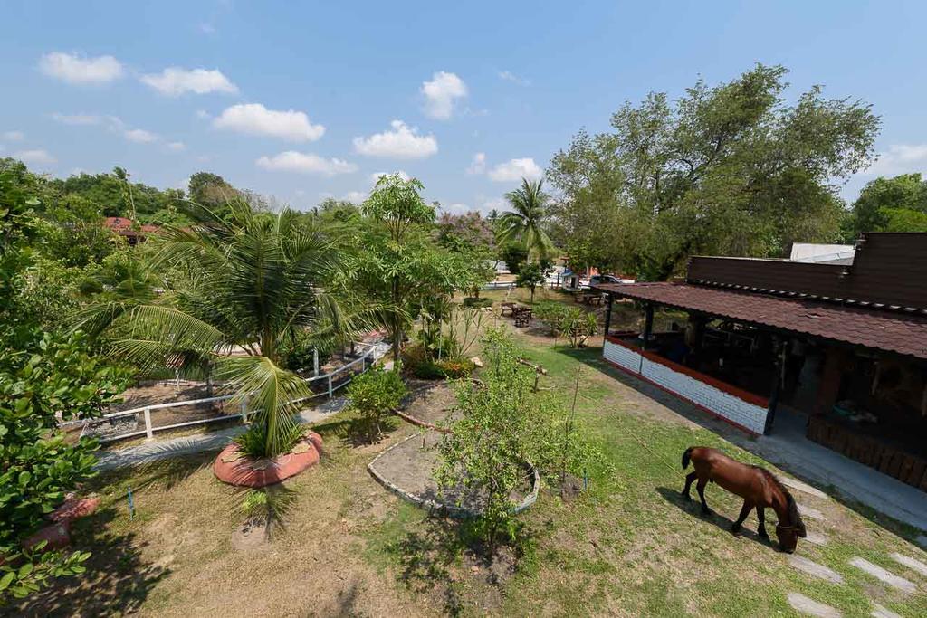 Cowboy Farm Resort Pattaya Ban Huai Yai Exterior photo