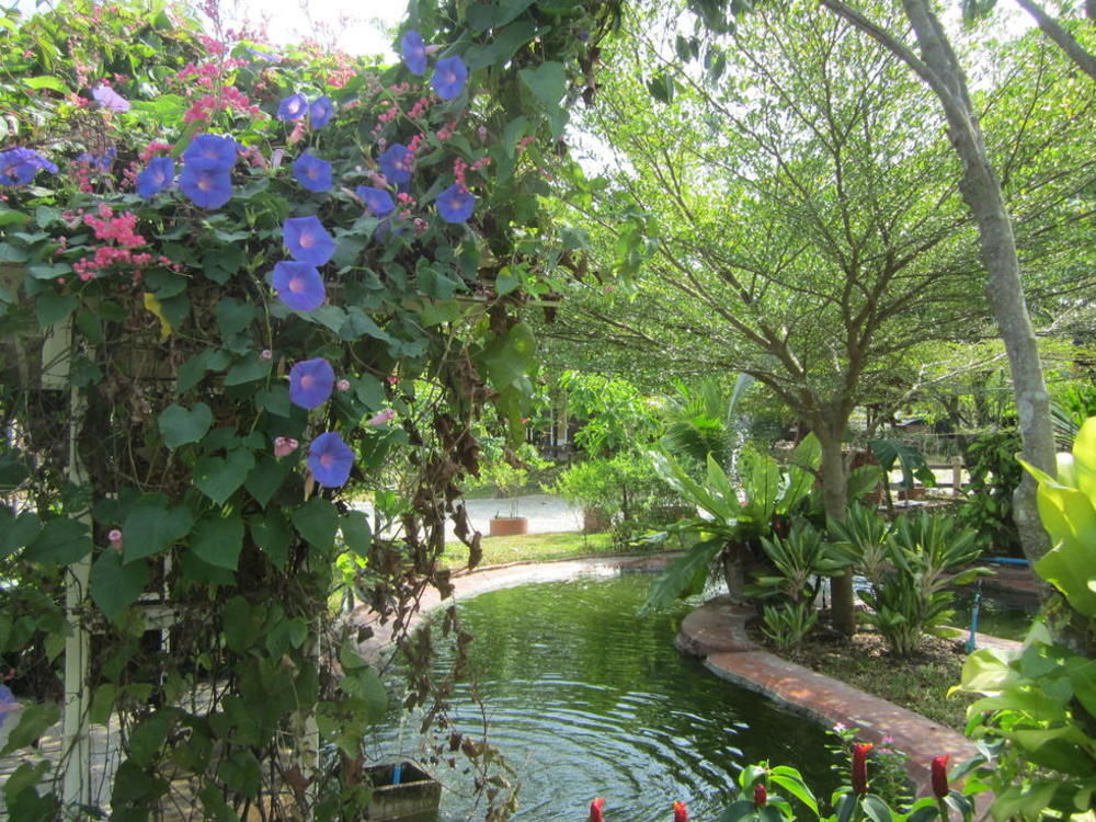 Cowboy Farm Resort Pattaya Ban Huai Yai Exterior photo