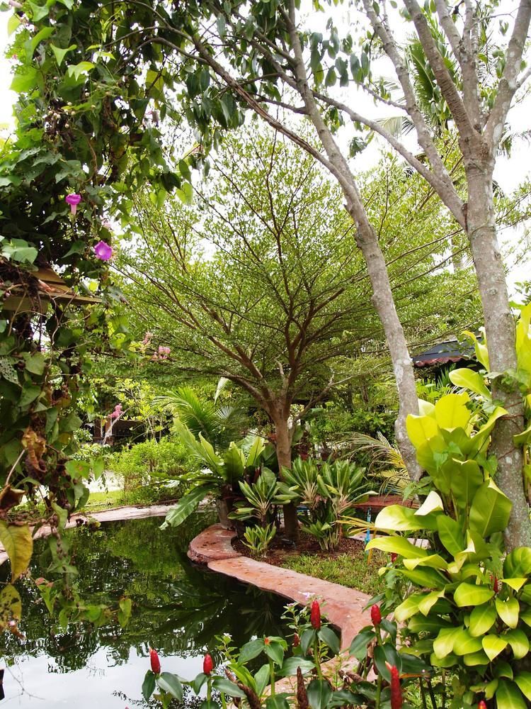 Cowboy Farm Resort Pattaya Ban Huai Yai Exterior photo